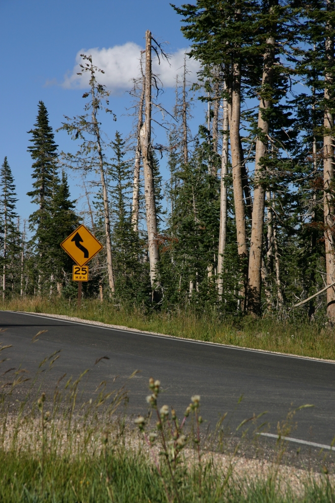 04 - Cedar Break (8).jpg